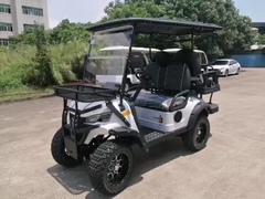 용량 4석 녹색 전기 셔틀카 리조트 차량 고성능