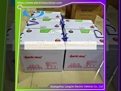 납 산성 자동차 배터리 6V 170AH 클럽 자동차 골프 카트 부품 및 액세서리