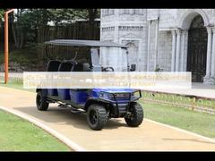 48V 전기 골프 카트 70-80km 범위 18-40km/h 최대 속도와 510kg 최대 부하 골프 코스 및 관광 리조트