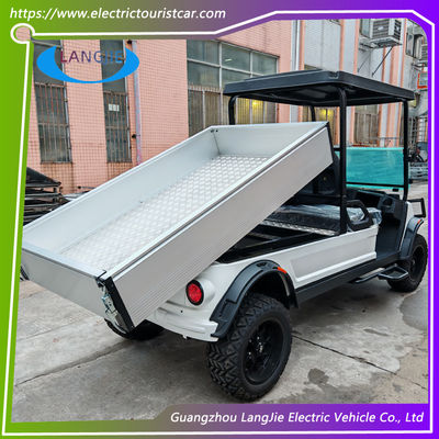 2 수송 수화물을 위한 화물을 가진 Seater 48V 건전지 호텔 2 륜 마차 차